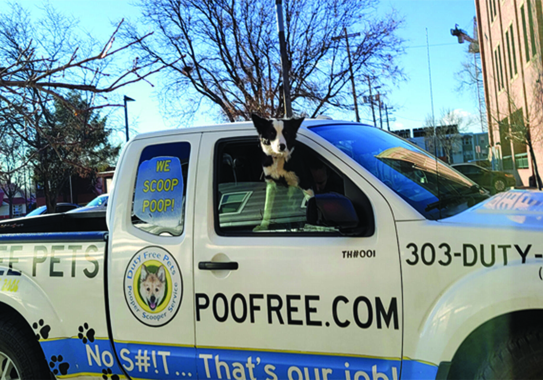 Looking for THE reliable Pooper Scooper in Thornton, Colorado?