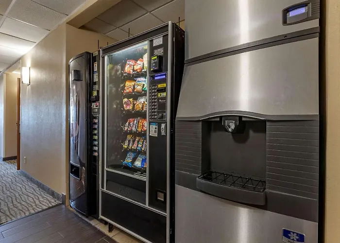 Top Hotels in Waterloo for an Unforgettable Stay