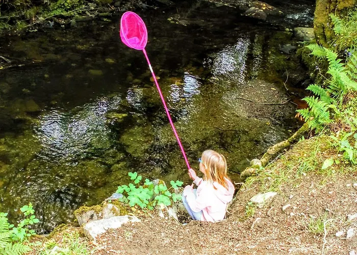 Best Hotels in Camelford