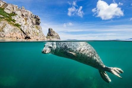 10 great UK boat trips, chosen by readers | Boating holidays