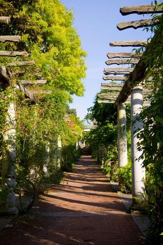 Hampstead Heath Hill Garden and Pergola
